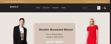 Thumbnail of Binolp.com