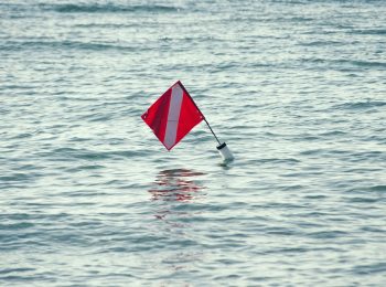 4 Red Flags of Fake Reviews (and How to Find the Real Ones) article cover