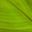 Thumbnail of user bhargavji4343