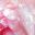 Thumbnail of user harrietted4